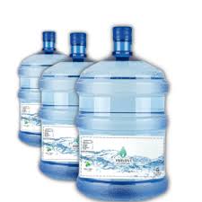 Agua Purificada 10 L (envase desechable)